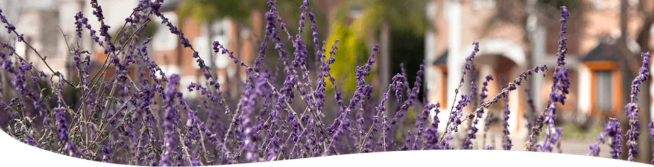 Un lugar a la medida de tus sueños