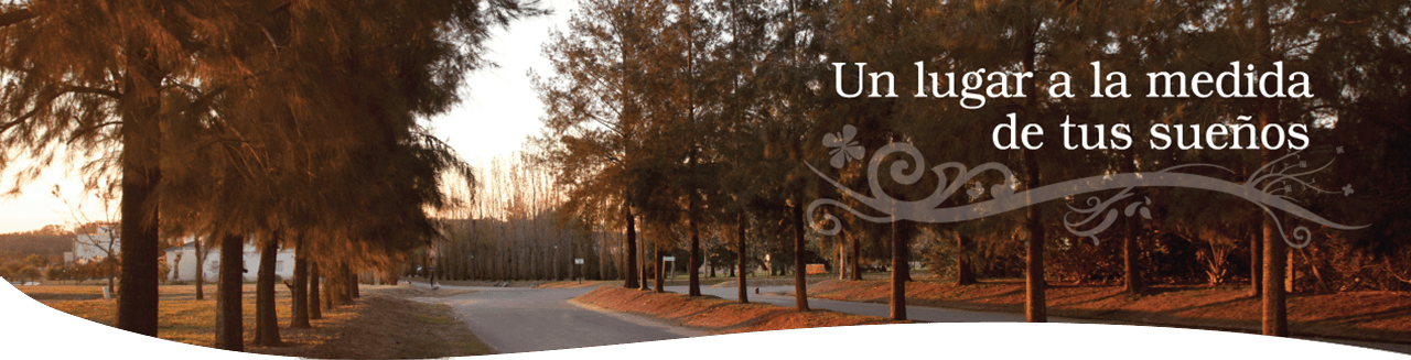 Un lugar a la medida de tus sueños