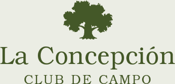 La concepción